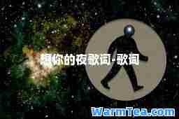 想你的夜歌词-歌词