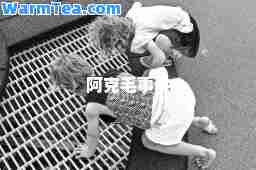 阿克毛事件