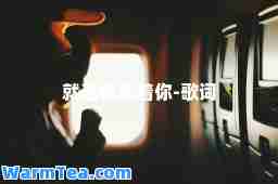 就这样恋着你-歌词
