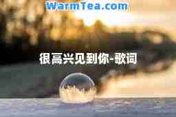 很高兴见到你-歌词 很高兴见到你-歌词