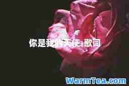 你是我的天使-歌词