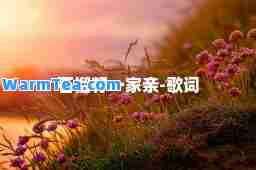 石榴籽一家亲-歌词