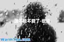 能不能不爱了-歌词