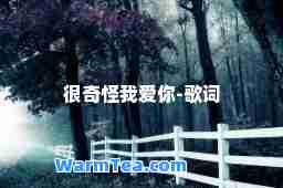 很奇怪我爱你-歌词