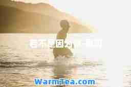 若不是因为你-歌词