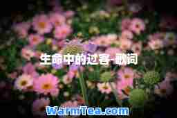 生中的过客-歌词