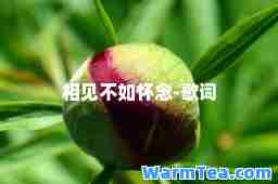 相见不如怀念-歌词