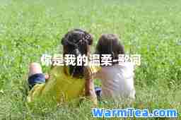 你是我的温柔-歌词