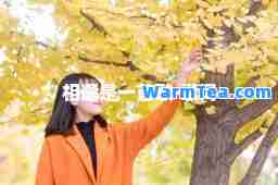 相逢是一首歌-歌词