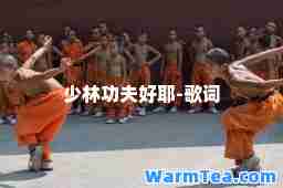 少林功夫好耶-歌词