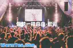 像梦一样自由-歌词