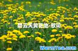 碧云天黄花地-歌词