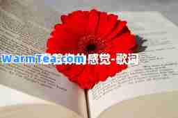想着你的感觉-歌词