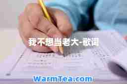 我不想当老大-歌词 我不想当老大-歌词