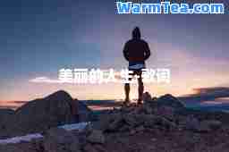 美丽的人生-歌词
