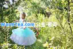 童话里的公主-歌词 童话里的公主-歌词