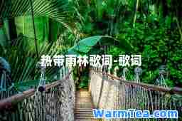热带雨林歌词-歌词 热带雨林歌词-歌词