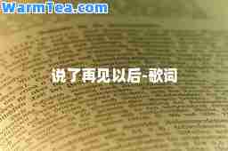 说了再见以后-歌词 说了再见以后-歌词