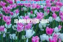 经典情歌对唱-歌词