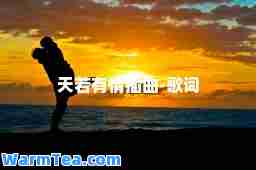 天若有情插曲-歌词