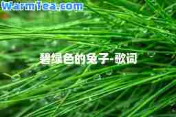 碧绿色的兔子-歌词 碧绿色的兔子-歌词