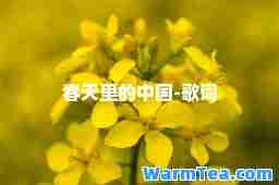 春天里的中国-歌词