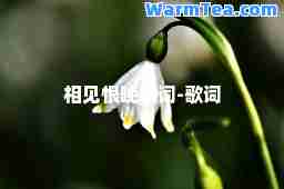 相见恨晚歌词-歌词