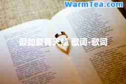 假如爱有天意 歌词-歌词
