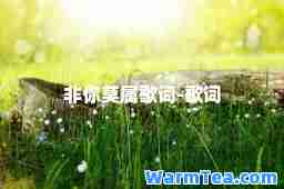 非你莫属歌词-歌词