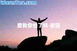 爱我你怕了吗-歌词