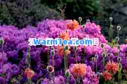 爱一回伤一回-歌词 爱一回伤一回-歌词