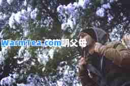 黄晓明父母