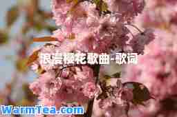 浪漫樱花歌曲-歌词