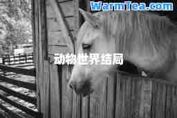 动物世界结局