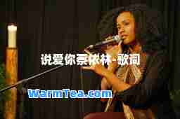 说爱你蔡依林-歌词 说爱你蔡依林-歌词