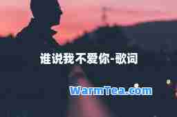 谁说我不爱你-歌词
