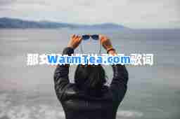 那女孩对我说 歌词-歌词