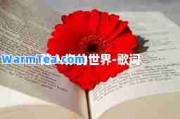 陷入你的世界-歌词