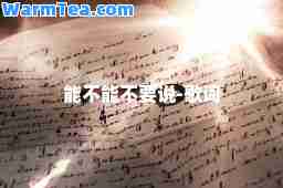 能不能不要说-歌词