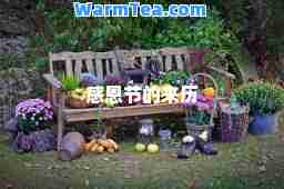 感恩节的来历