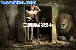 二黄毛的故事