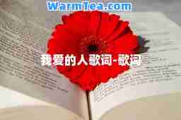 我爱的人歌词-歌词