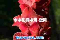 水中花镜中月-歌词