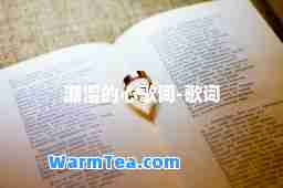 潮湿的心歌词-歌词