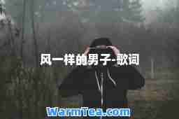 风一样的男子-歌词