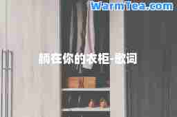 躺在你的衣柜-歌词