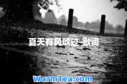 夏天有风吹过-歌词