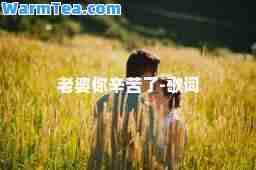 老婆你辛苦了-歌词