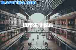 城市生活秘籍