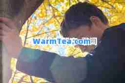 向着光亮那方-歌词